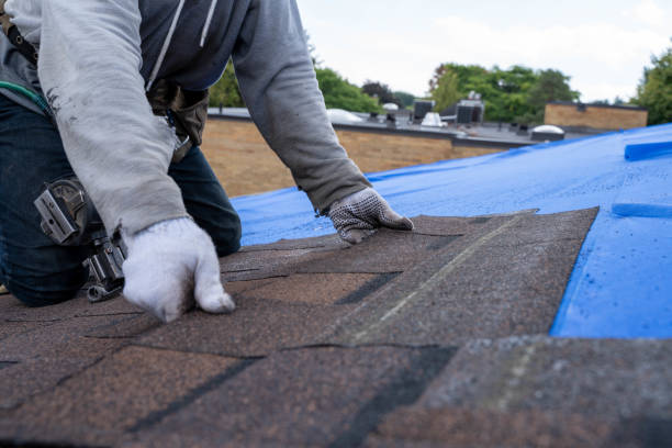 Best Commercial Roofing Services  in Ashton, ID